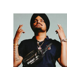 Rinku Chahar-Freelancer in Becharaji,India