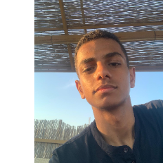 King Ammar-Freelancer in Doha,Qatar
