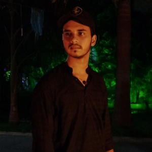 Pratyush Kumar Pandey-Freelancer in Patna,India