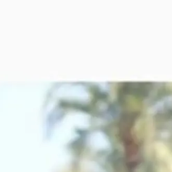 Samiha Amme-Freelancer in Dhaka,Bangladesh