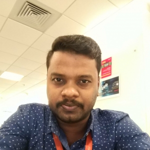 Raghunath Bhaskaran-Freelancer in Chennai,India