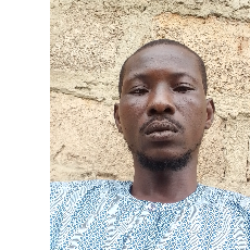 Abdul-qudus Fajinmolu-Freelancer in Ikire,Nigeria