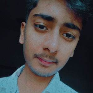 Rishav Raj-Freelancer in Patna,India
