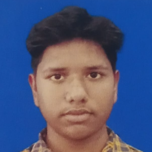 Maheswar Sahoo-Freelancer in Khordha,India