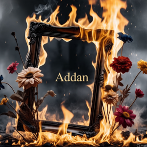 Malik Addan-Freelancer in Attock City,Pakistan