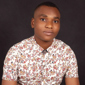 Aminu Abdullahi-Freelancer in Abuja,Nigeria