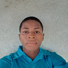 Joseph Edom-Freelancer in Port Harcourt,Nigeria