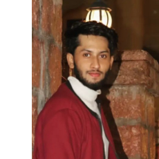 Zulfiqar Nadeem-Freelancer in Bengaluru,India