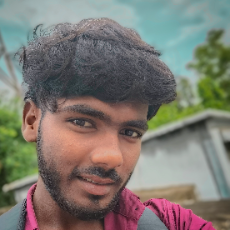 Mithilesh Kumar-Freelancer in Darbhanga,India
