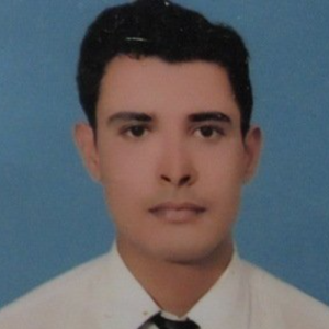 Anup Shukla-Freelancer in Saila Khurd,India