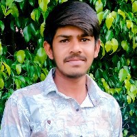 Shriram Gurjar-Freelancer in Bhopal Division,India