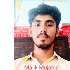 Malik Mujahid Waran-Freelancer in Ahmedpur East,Pakistan