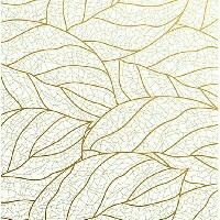 FREEARTZGRAPHIX-Freelancer in Port hacourt city.,Nigeria