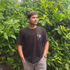 Yash Panchal-Freelancer in ahmedabad,India