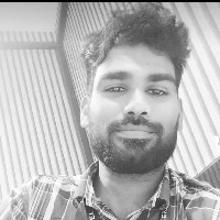 Vijesh Raj-Freelancer in Chennai,India