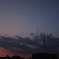 Haifa Celeste-Freelancer in Rawalpindi,Pakistan
