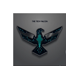 Tech Falcon-Freelancer in Jodhpur,India