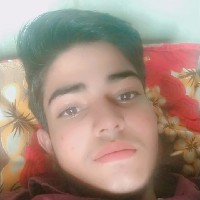 Anshul Swami-Freelancer in Bikaner Division,India