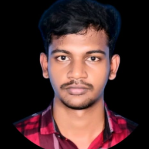 Vel Raja-Freelancer in Chennai,India
