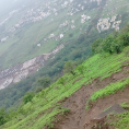 Aachal Kori-Freelancer in Chhatrapati Sambhajinagar,India