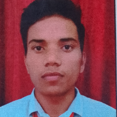 Ankit Yadav-Freelancer in Delhi,India