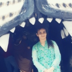 Arshita Sharma-Freelancer in Hoshiarpur,India