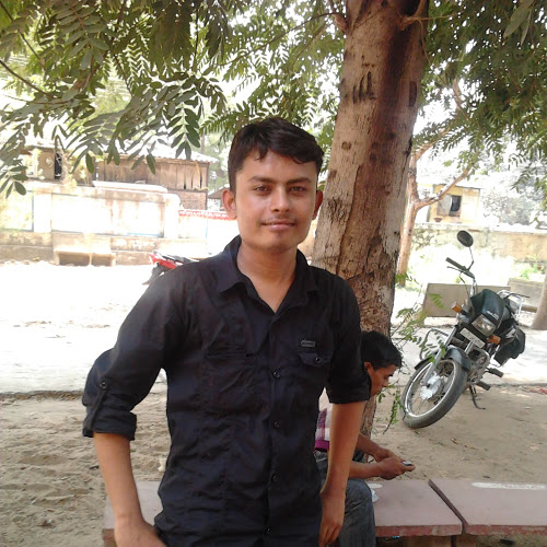 Vimal Bhatt-Freelancer in ,India