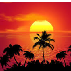 Irfan Ullah-Freelancer in Dera Ismail Khan,Pakistan