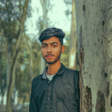 Satyajit Samanta-Freelancer in Sambalpur,India