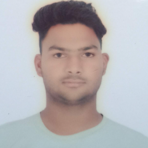 Deepak Kumar Meena-Freelancer in Jaipur,India