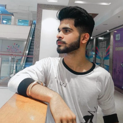 Aryan Verma-Freelancer in Lucknow,India