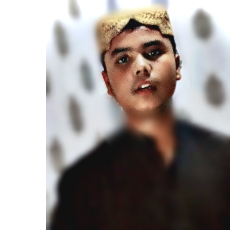 Muhammad Hussain-Freelancer in Jacobabad,Netherlands