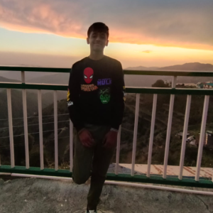 Viraaj Goyal-Freelancer in Ajmer,India