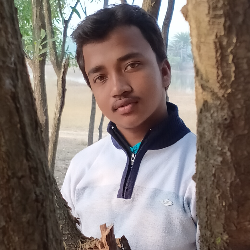 Animesh Tantubay-Freelancer in Bankura,India