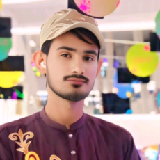 Waseem Abbas-Freelancer in Muzaffargarh,Pakistan