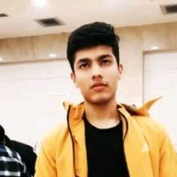 Deepanshu Dhami-Freelancer in Delhi,India