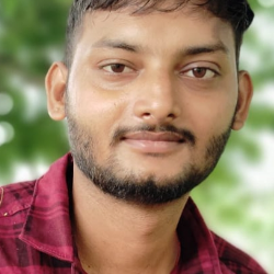 Abinash Kumar-Freelancer in Panipat,India