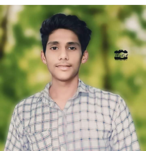 Rohit Kumar-Freelancer in Noida,India