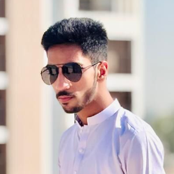 Muhammad Hamza Qureshi-Freelancer in Karachi,Pakistan
