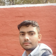 Saurav Kumar-Freelancer in Agra,India