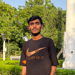 Anish Kumar-Freelancer in Patna,India