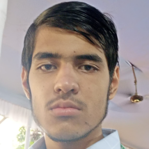 Satvik Upadhyaya-Freelancer in Bhubaneswar,India