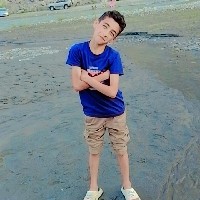 Nayesh Ali-Freelancer in gilgit gahkuch ghizer tehsil puniyal,Pakistan