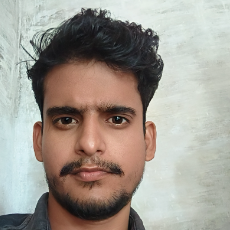 pankaj kumar-Freelancer in Agra,India
