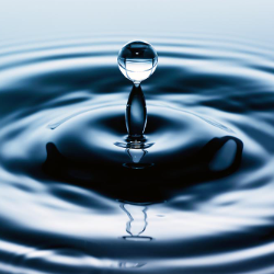 JUKE-Freelancer in Bengaluru,India