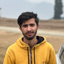 Peerzada Tuhaib-Freelancer in srinagar,India