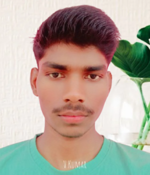 Virendra kumar-Freelancer in Lucknow Division,India