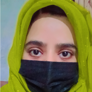 EliteEntry-Freelancer in Faisalabad,Pakistan