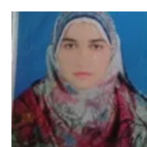 Tehmina Naz-Freelancer in Kot Sultan,Pakistan