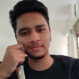 Sanyam-Freelancer in Jind,India